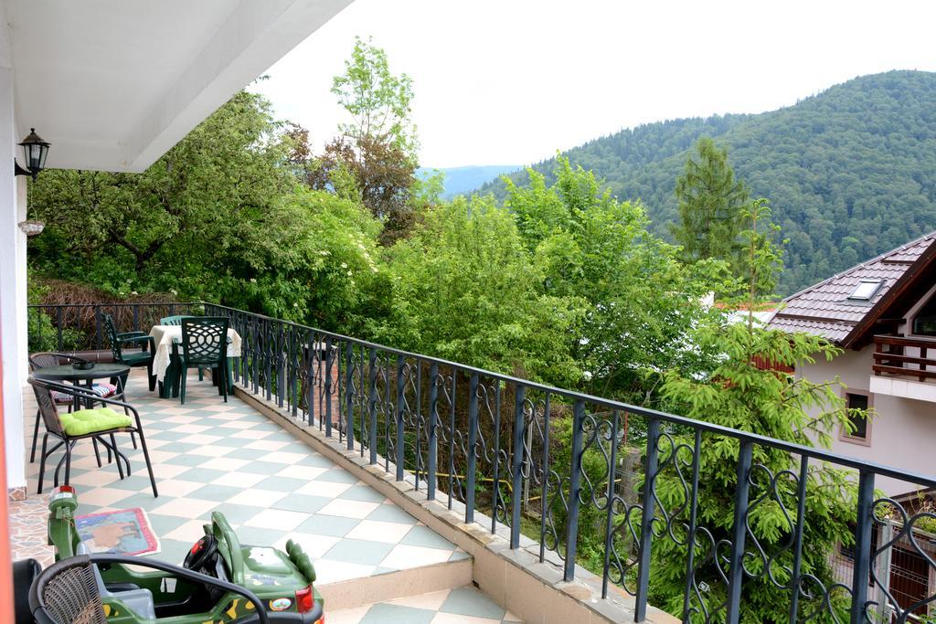 Casa Ana Villa Sinaia Eksteriør billede